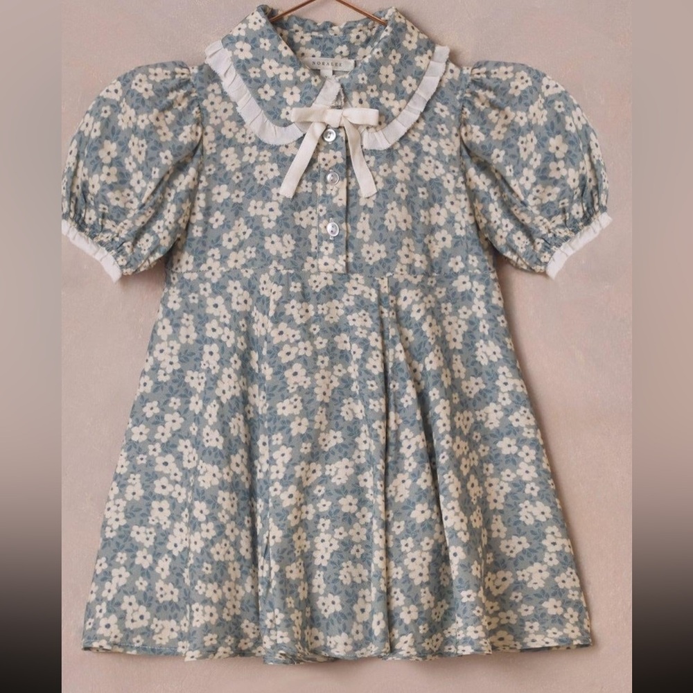 Noralee Floral Blue and White Dress worn once size 2&4T